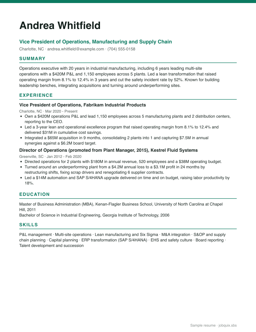 Executive resume example preview
